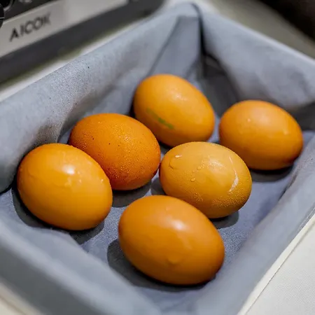 Ossuna Bay Boutique 切法卢